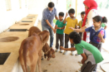 Vrindavan Farm Visit