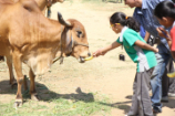 Vrindavan Farm Visit