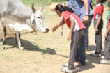 Vrindavan Farm Visit